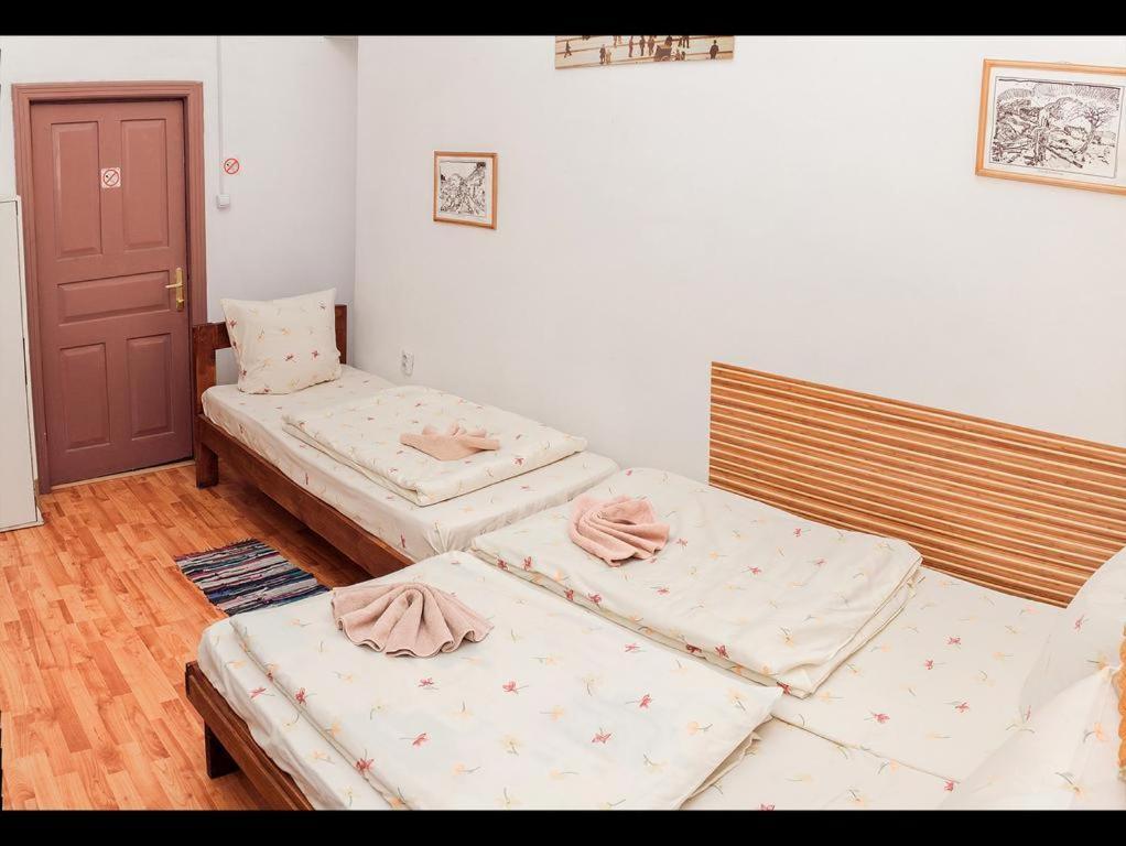 Apple Hostel Lviv Kültér fotó